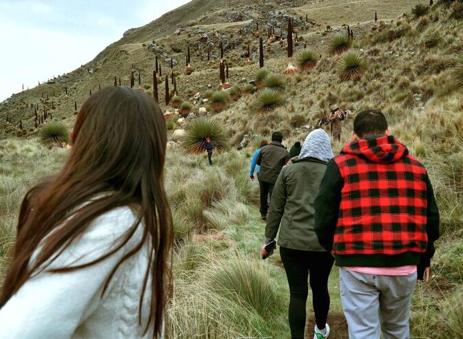 Inca trail to Machu Picchu