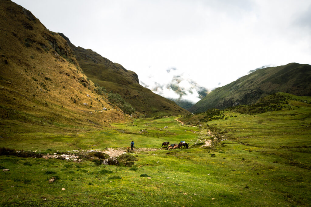 Machu Picchu end of Vilcabamba trek